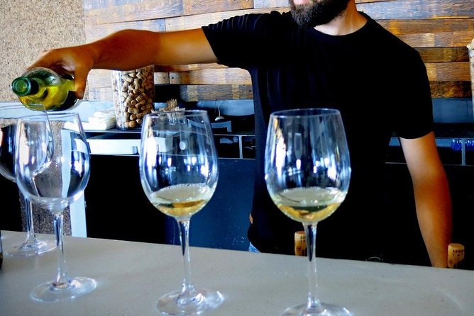 Troodos Mountains Vino Venture: All Inclusive Full Day Wine Tour - What the $142.41 price really covers