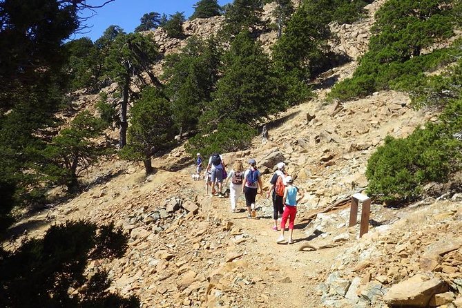 Troodos Walking Trip (Artemis+/Myllomeris Waterfalls) - Two Troodos walks, one changing day