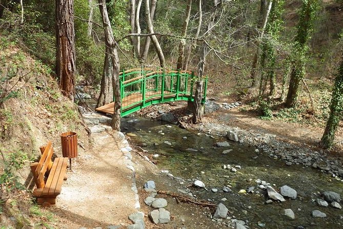 Troodos Walking Trip (Artemis+/Myllomeris Waterfalls) - Pickup across Cyprus, with a few limits