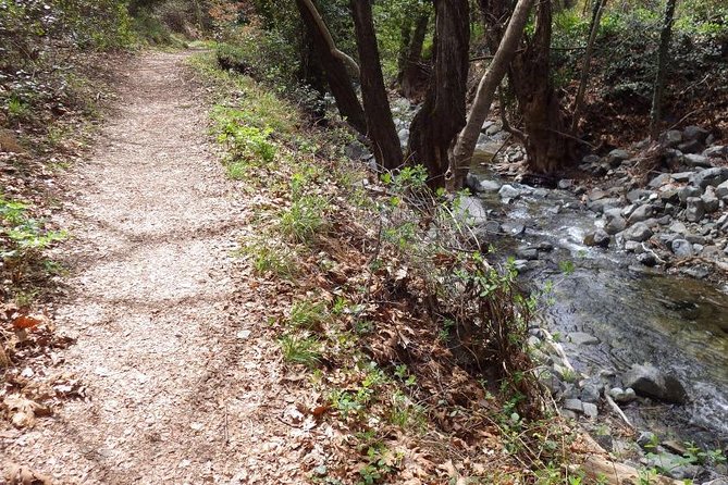 Troodos Walking Trip (Artemis+/Myllomeris Waterfalls) - Who will get the most from this trip