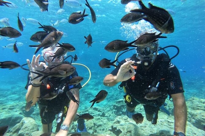 Try a Scuba Diving Experience - How much value you get for $90.74