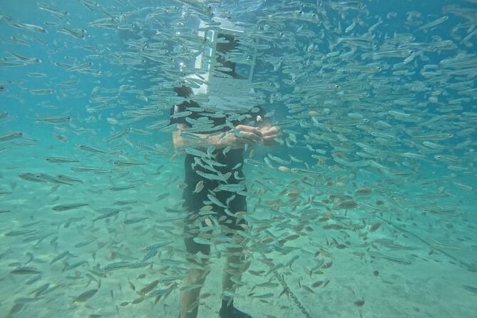 Undersea Helmets - Key points to know before booking