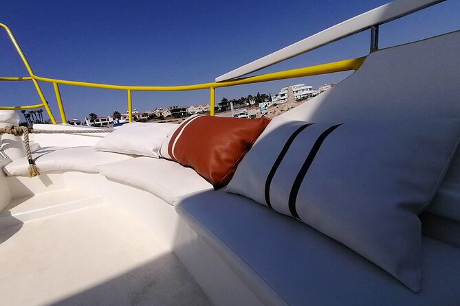 Yellow Boat Cruises: Adults Only Lazy Day Cruise with BBQ - Turtle Cove and responsible wildlife viewing