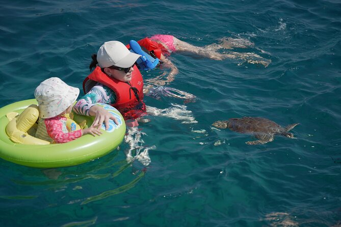 Yellow Boat Cruises: Afternoon Family Blue Lagoon & Turtle Cruise - Fig Tree Bay begins the coastal tour