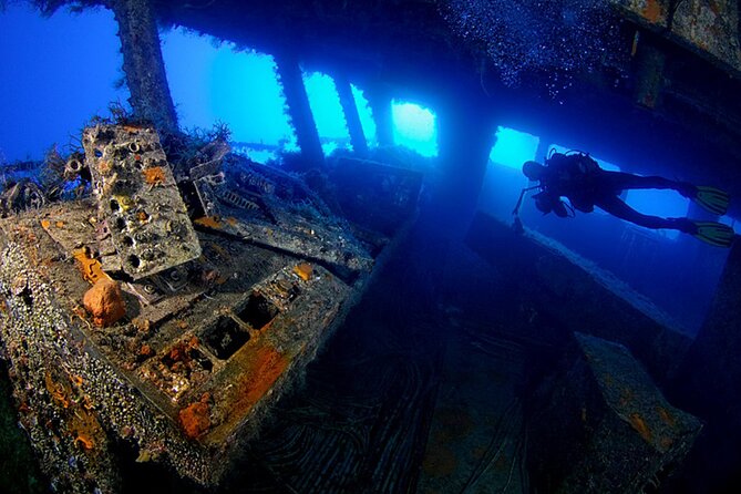 Zenobia Shipwreck Scuba Diving Trip 2x Dives - Key points at a glance