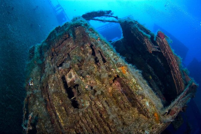 Zenobia Shipwreck Scuba Diving Trip 2x Dives - Who should book this Protaras wreck trip